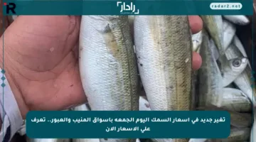 تغير جديد في أسعار السمك اليوم الجمعة بأسواق المنيب والعبور.. تعرف على الأسعار الآن